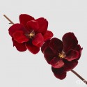 Trandafir Roșu Sleeping Beauty 60cm