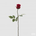 Trandafir Roșu Rosalia 45cm