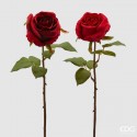 Trandafir Roșu Rosalia 45cm