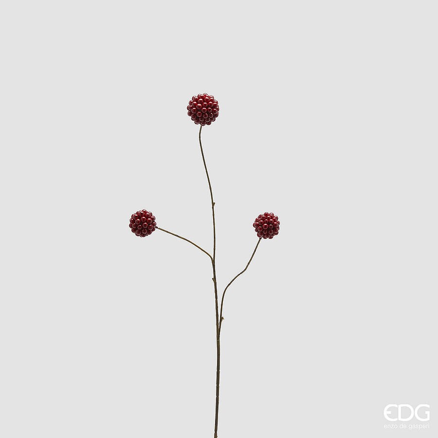 Crenguță Burgundy Ilex Glossy 80cm
