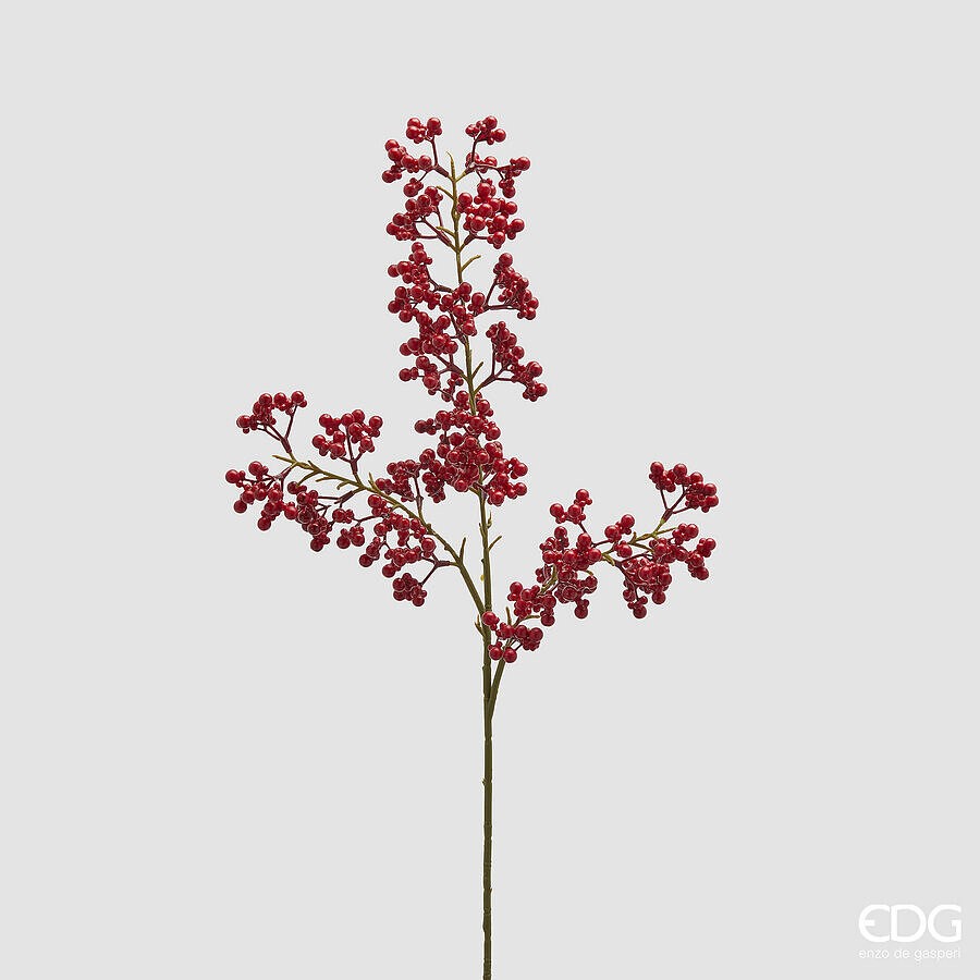 Crenguță Ilex Scarlet 90cm