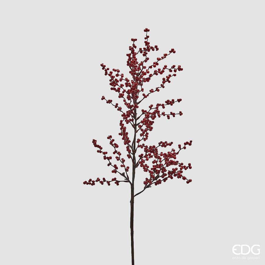 Crenguță Ilex Ruby 80cm