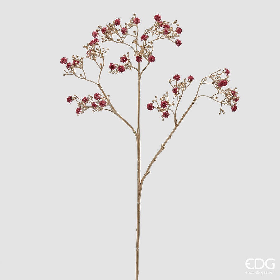 Crenguță Gypsophila