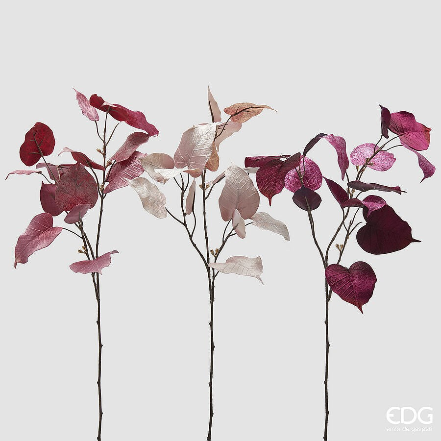 Set 3 Crenguțe Ficus Velluto Pink Mix 80cm