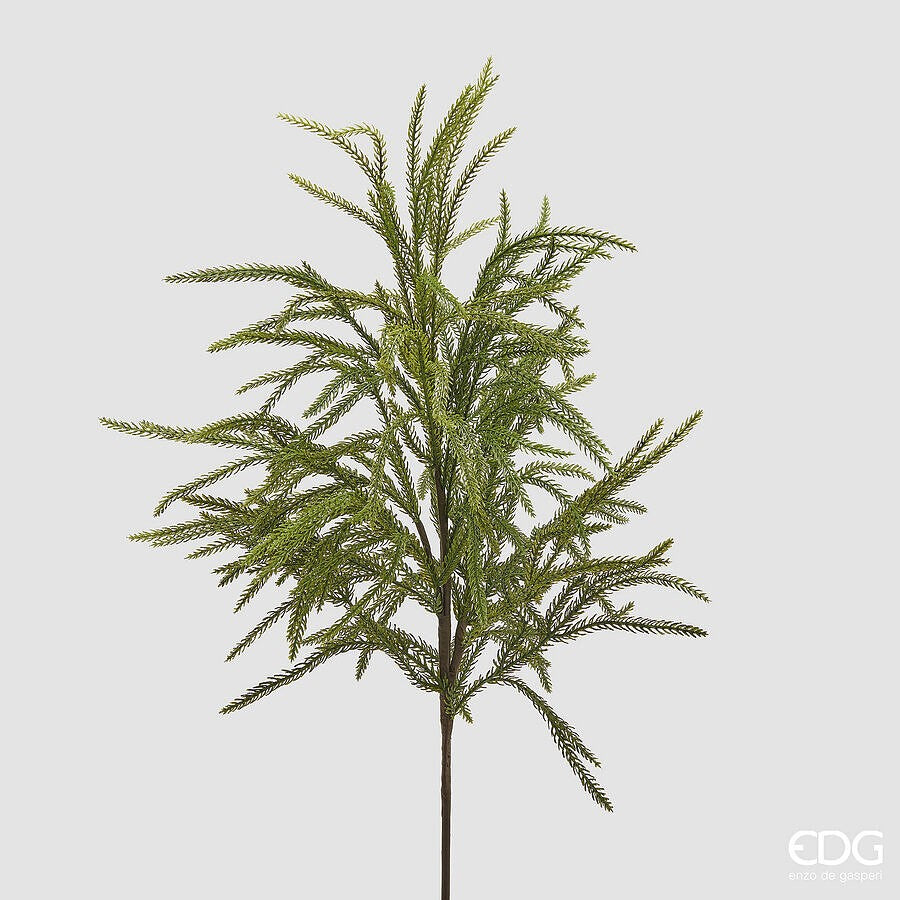 Crenguță Cryptomeria Lush 71cm