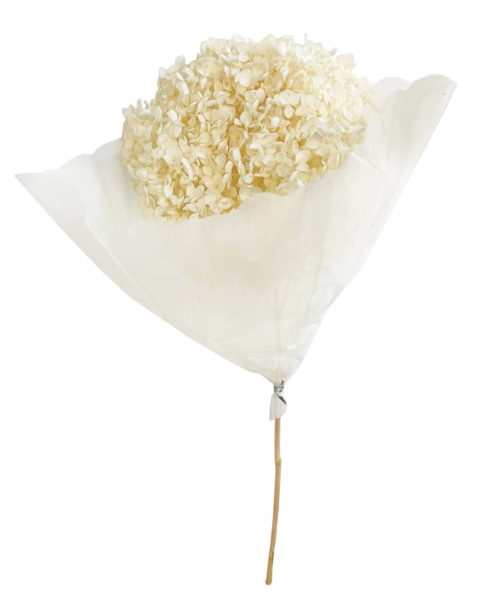 Floare Hortensia conservată crem 60 cm